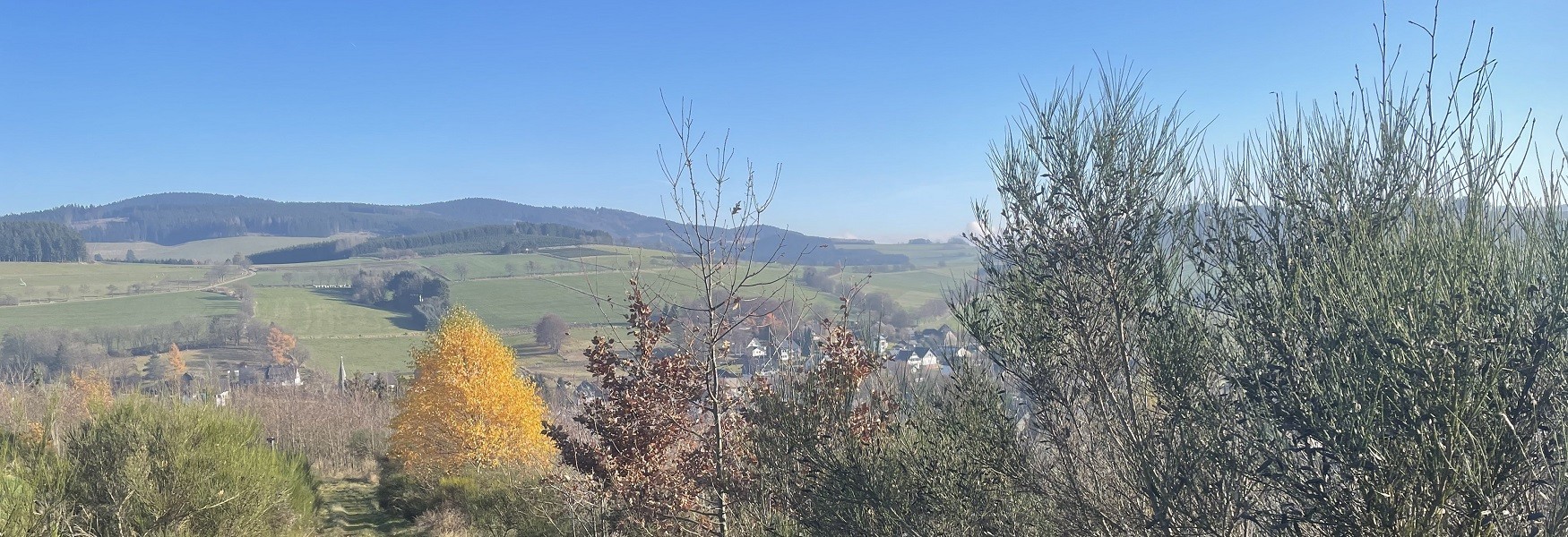 Gronebach Uitzicht