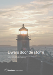 Voorkant van de cursus 'Dwars door de storm' voor partners van seksverslaafden, met afbeelding van een vuurtoren